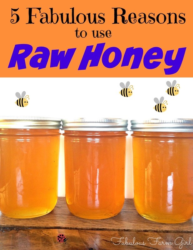  Raw Honey Made In Usa Webb Square Haines City FL